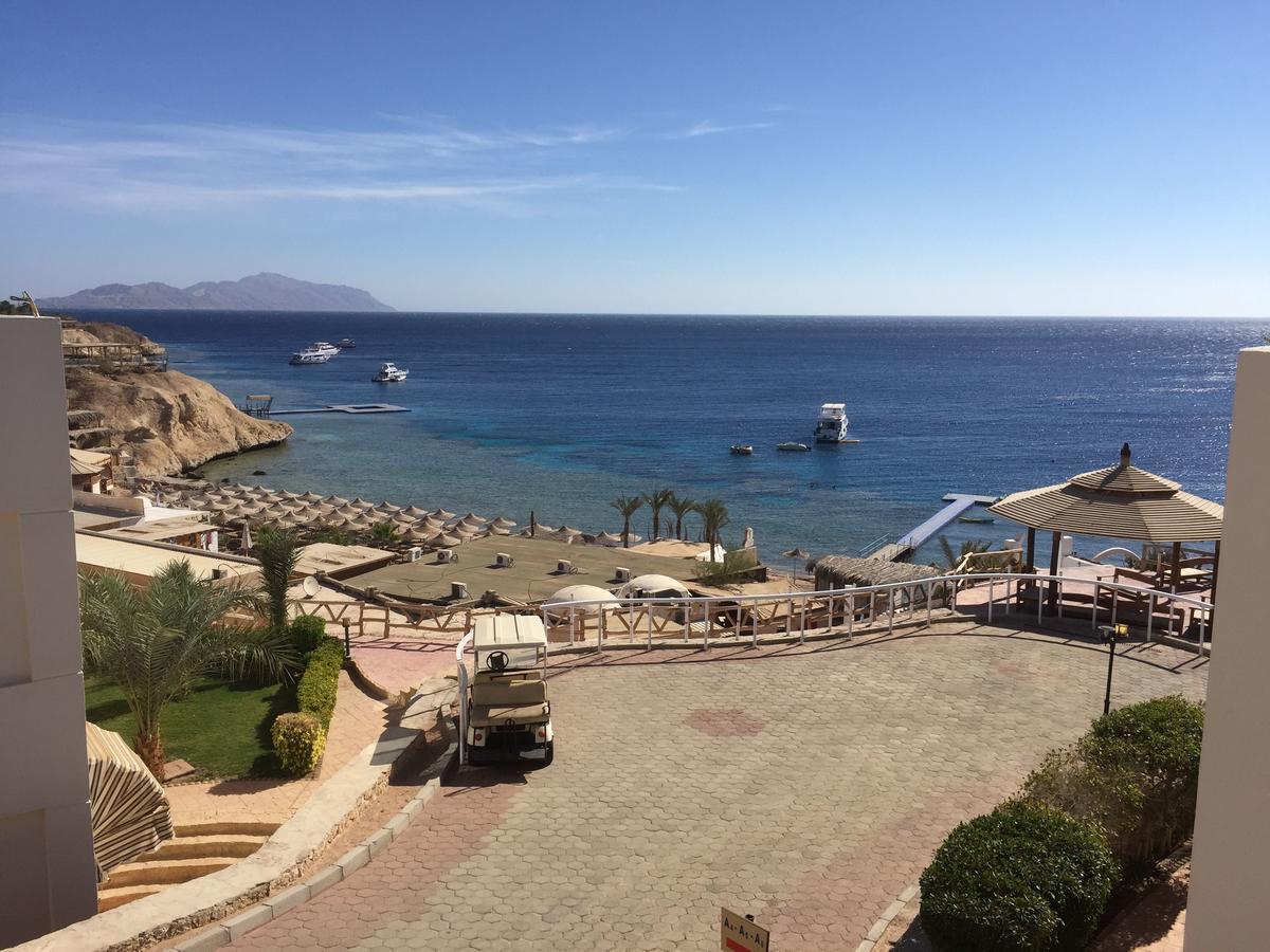 Apartament Sharks Bay Oasis *