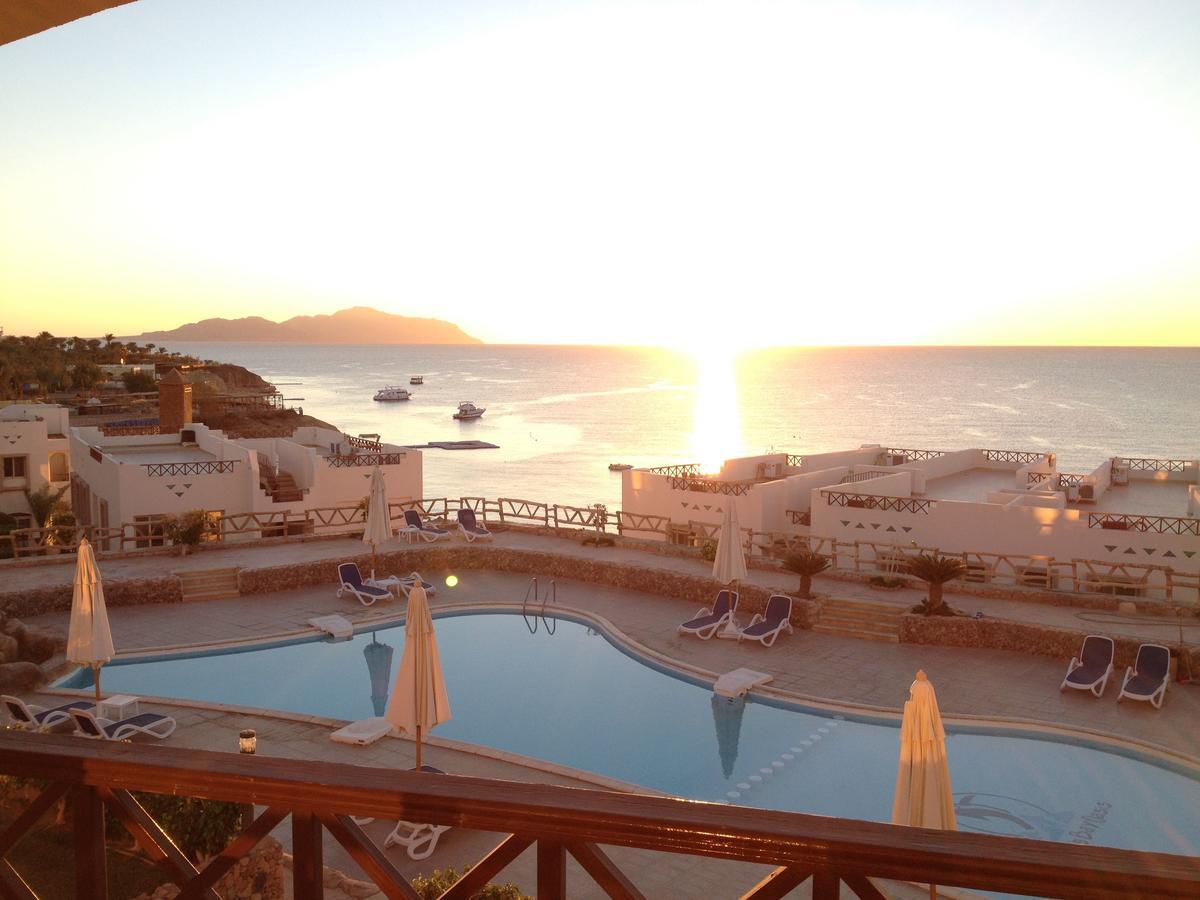 Sharks Bay Oasis Apartament