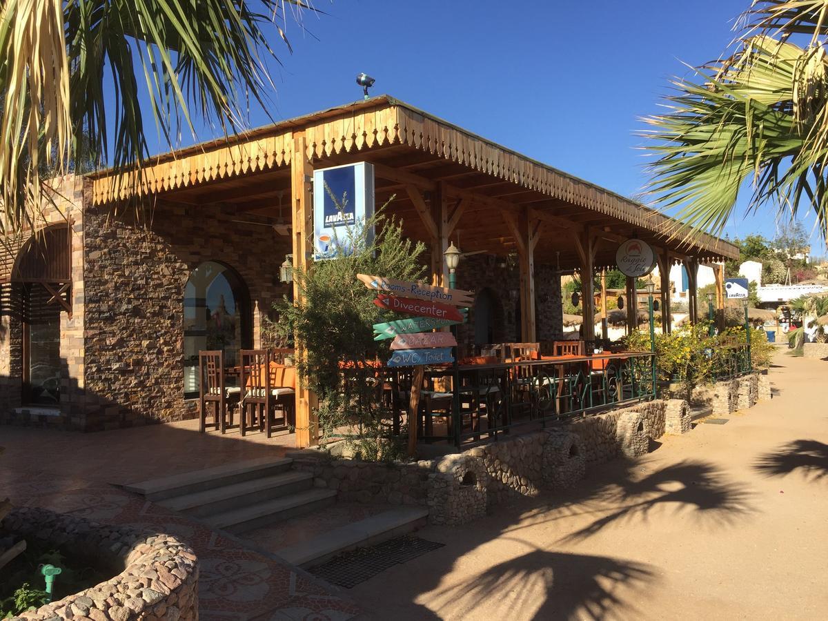 Sharks Bay Oasis Apartament