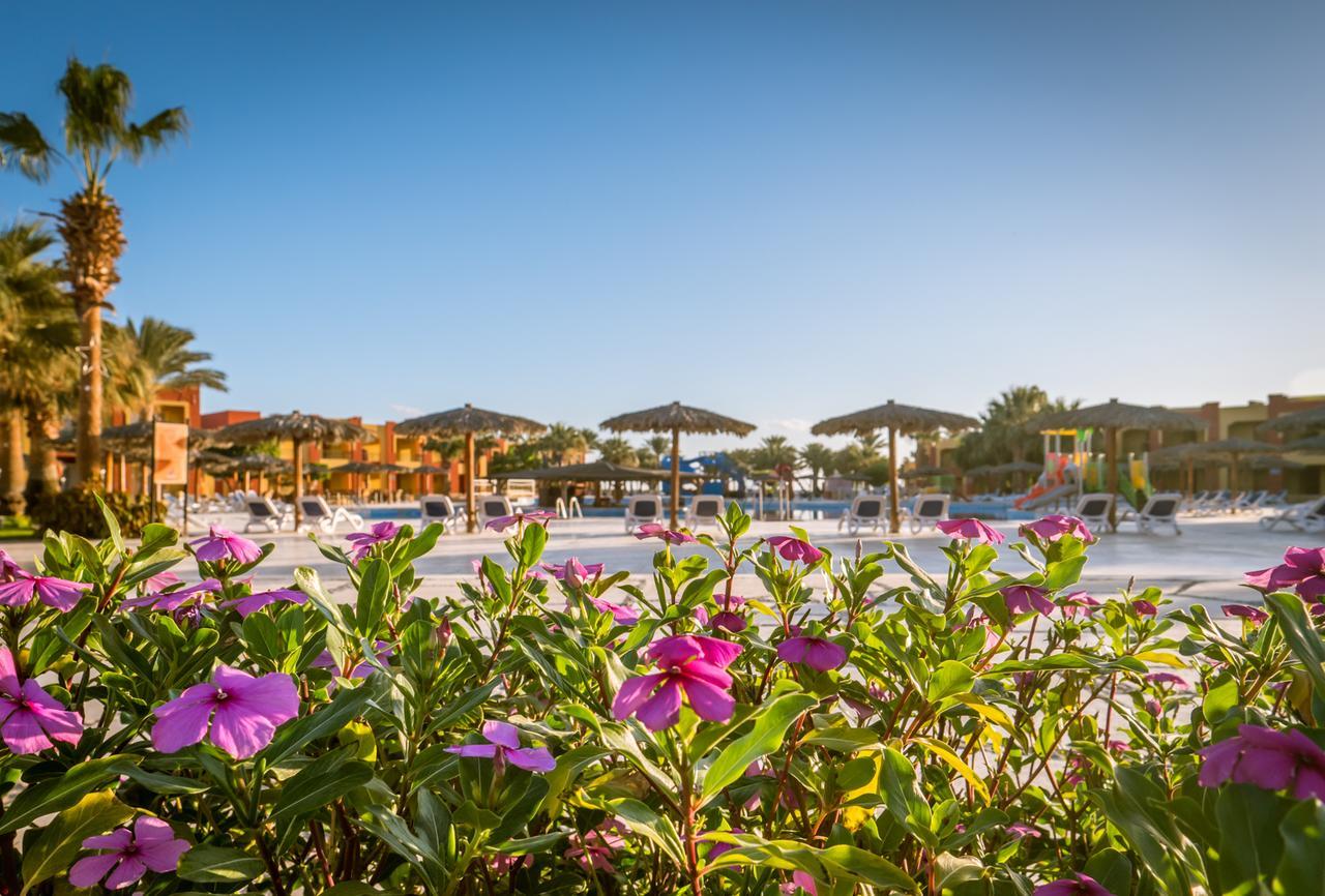 Magic Marsa & 4* Marsa Alam