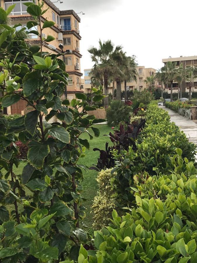 Zahrat Al Mamora Apartment Alexandria
