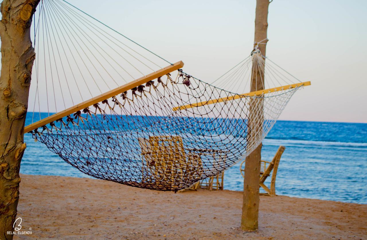 Wishwashi Camp & Nuweiba