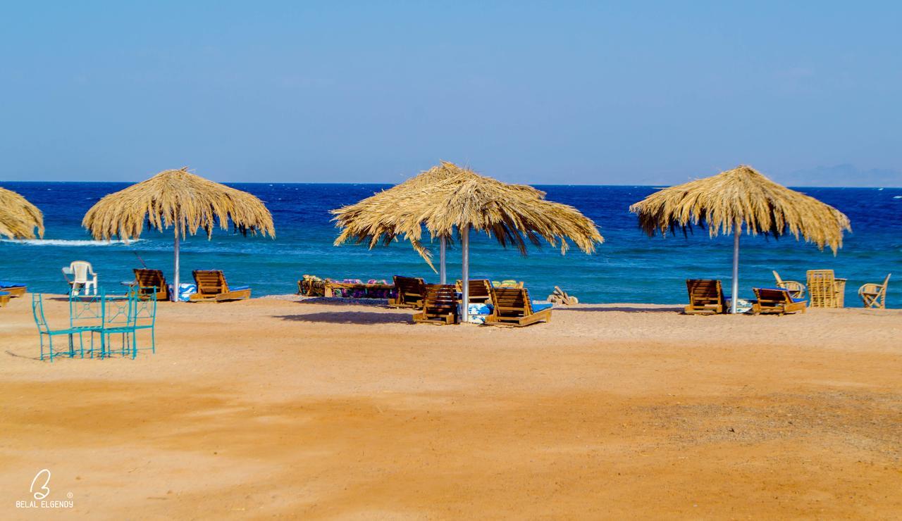 Resort Wishwashi Camp & Nuweiba