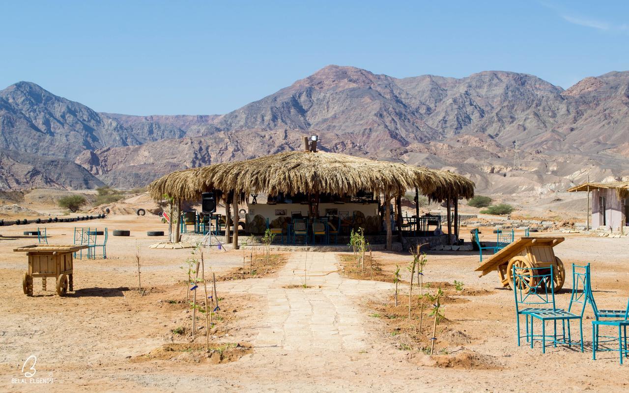 Resort Wishwashi Camp &