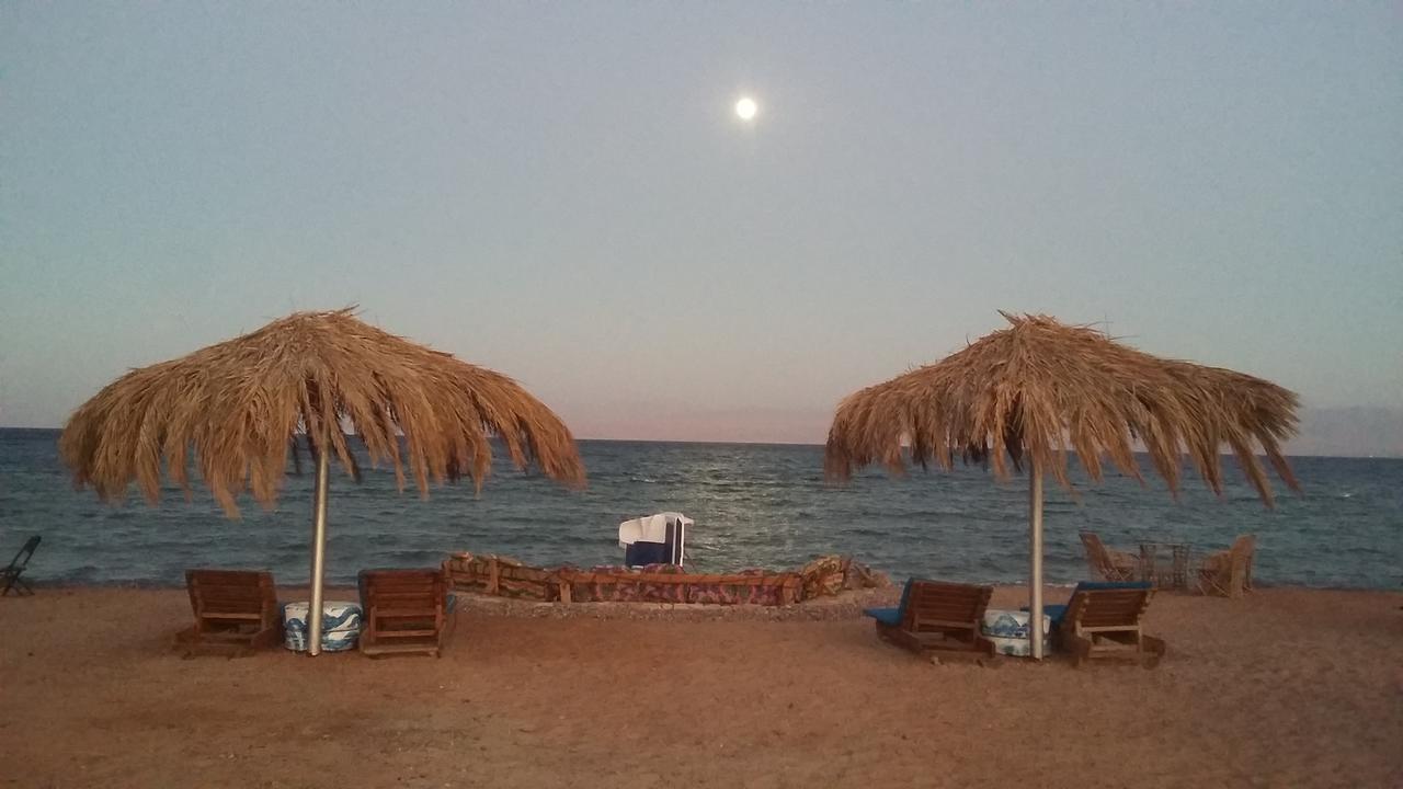 Wishwashi Camp & Resort Nuweiba