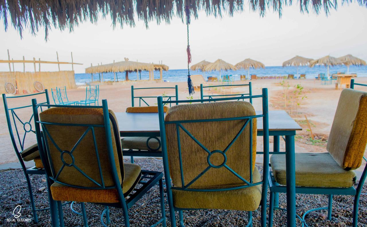 Wishwashi Camp & Nuweiba