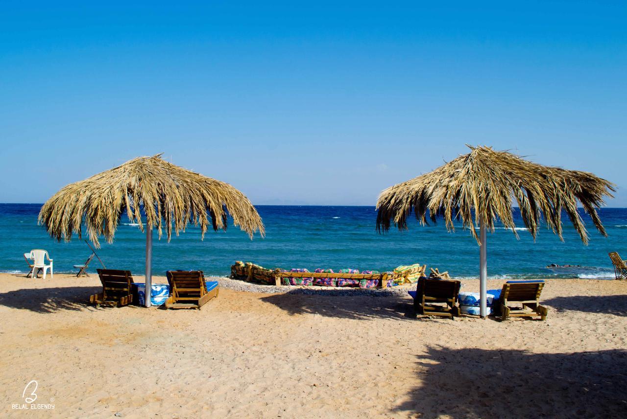 Resort Wishwashi Camp & Nuweiba