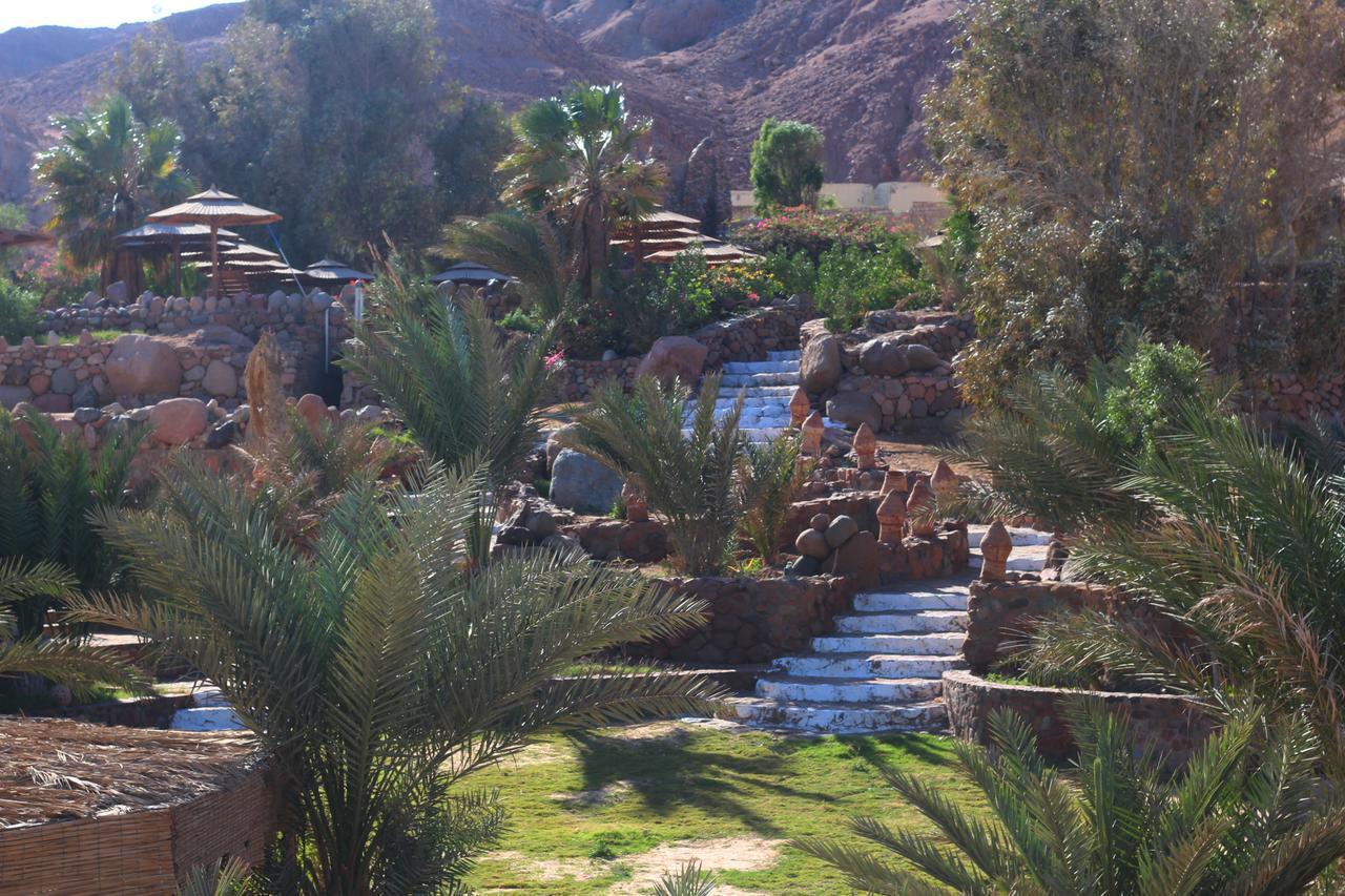 Hotel The Bedouin Moon