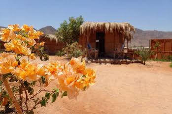 Bedouin Star 4* Taba