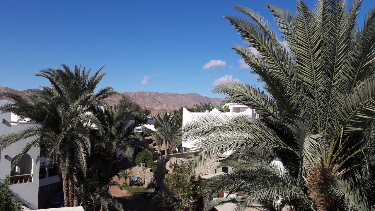New Yalla Hotel Dahab