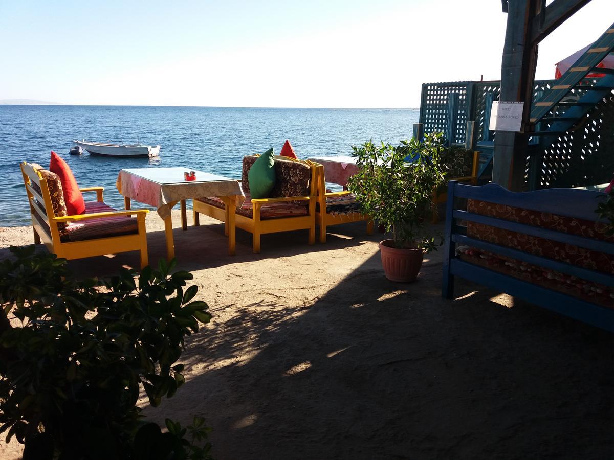 New Yalla Dahab