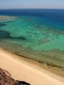 Camel Dive Club & - Boutique Resort