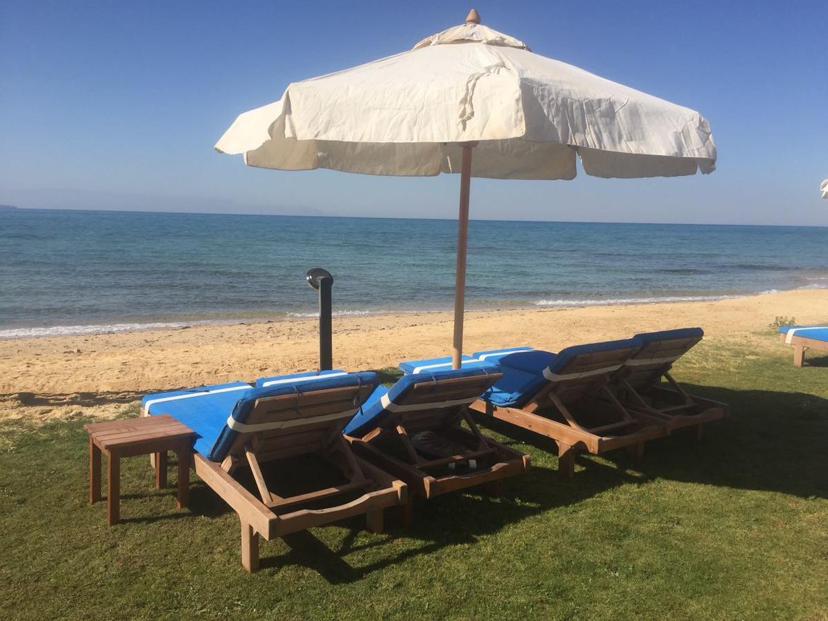 Complex Palm Safari Egypt 4*