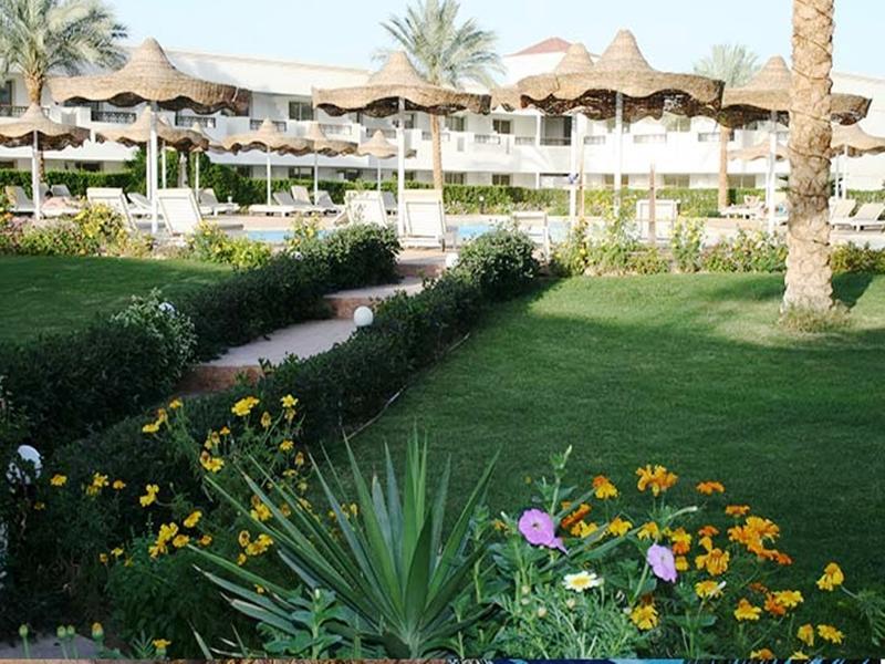 Viva 3* Sharm El-Sheikh