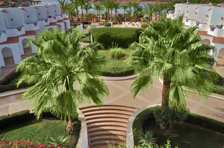 Resort Iberotel Palace - Adults Friendly 16 Years 5*