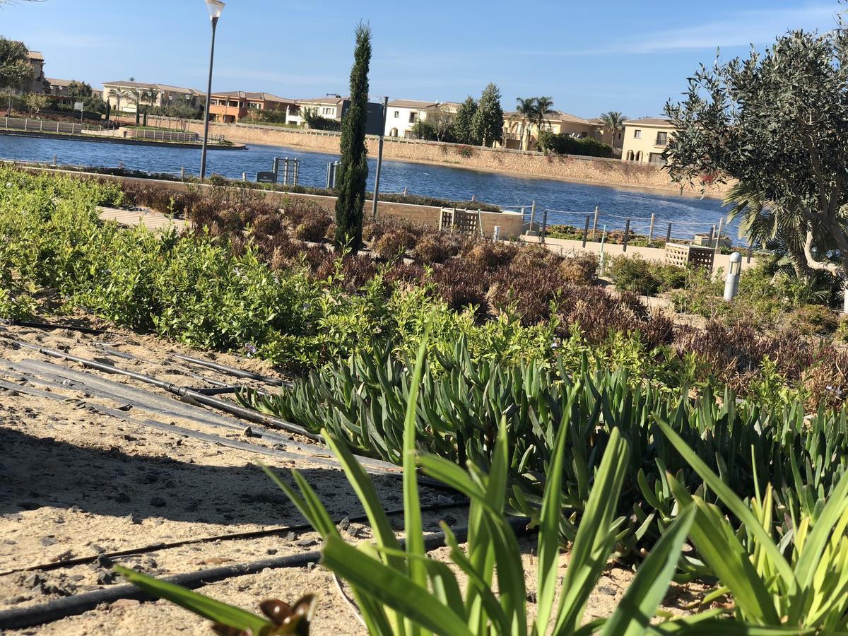 Marassi North Coast Apartament *