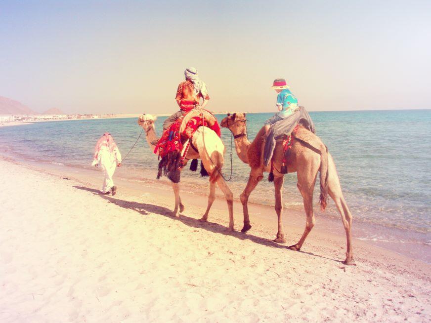 Al Magarra Camp - Adults Only * Nuweiba