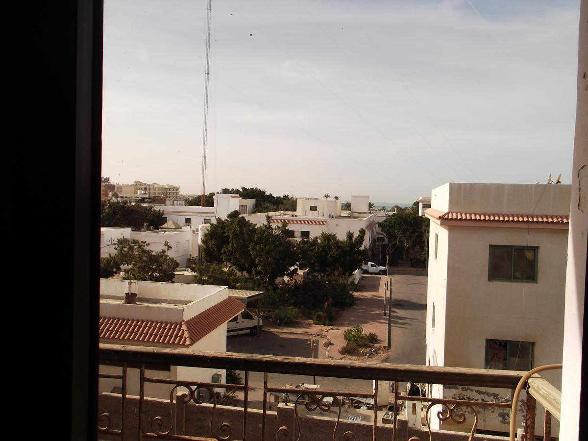 Snafer * Hurghada