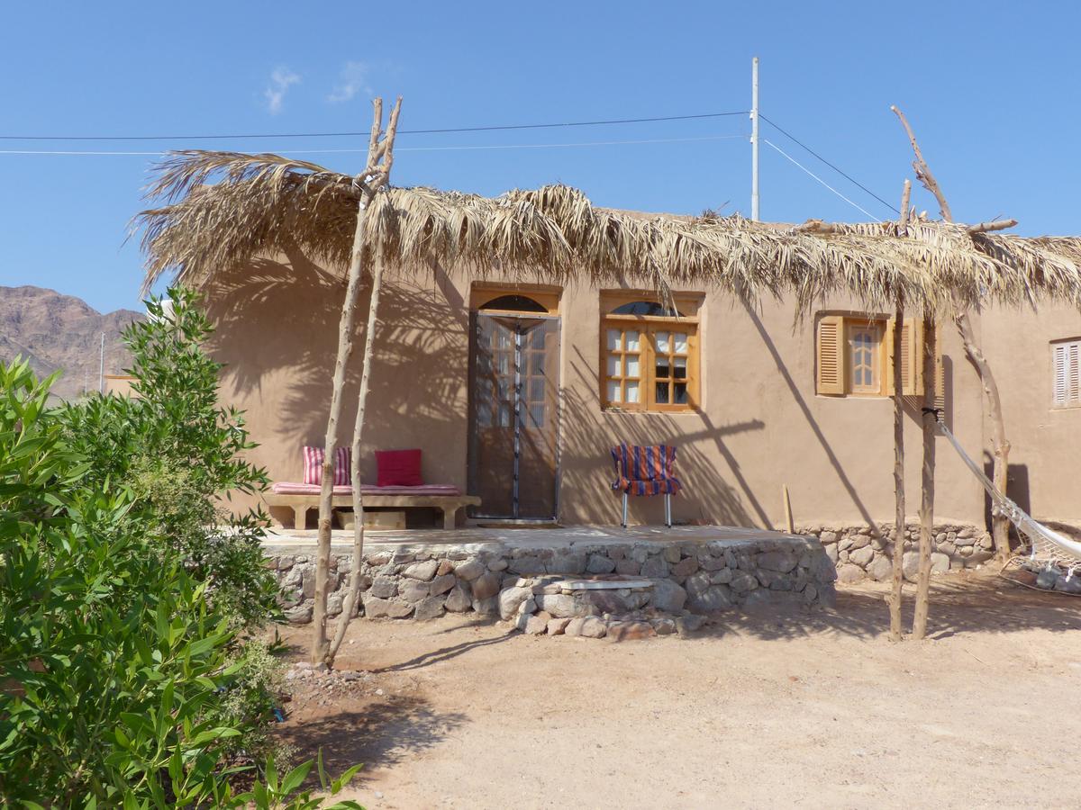 Homestay Think On Red Sea