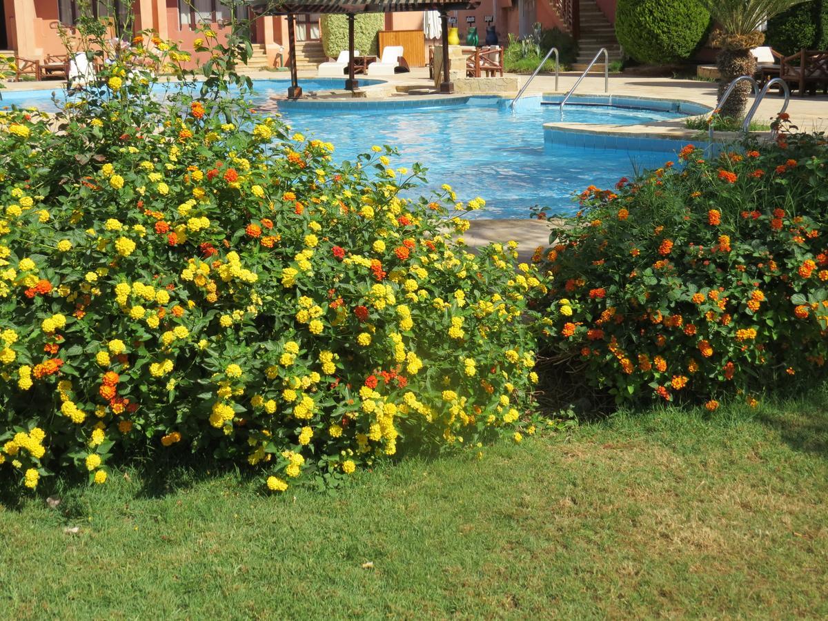 Africana & Resort