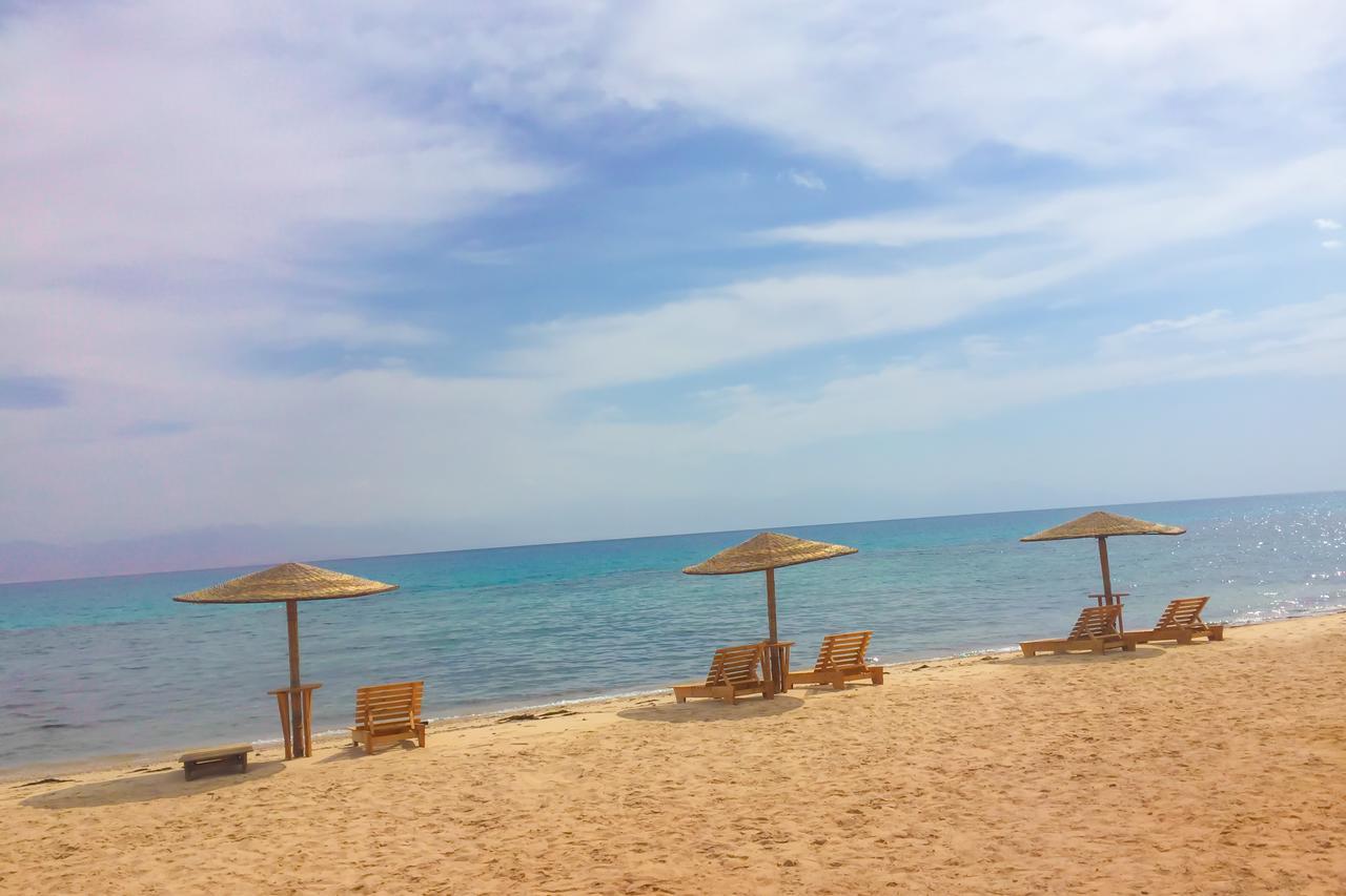 Al Magarra Camp - Adults Only *