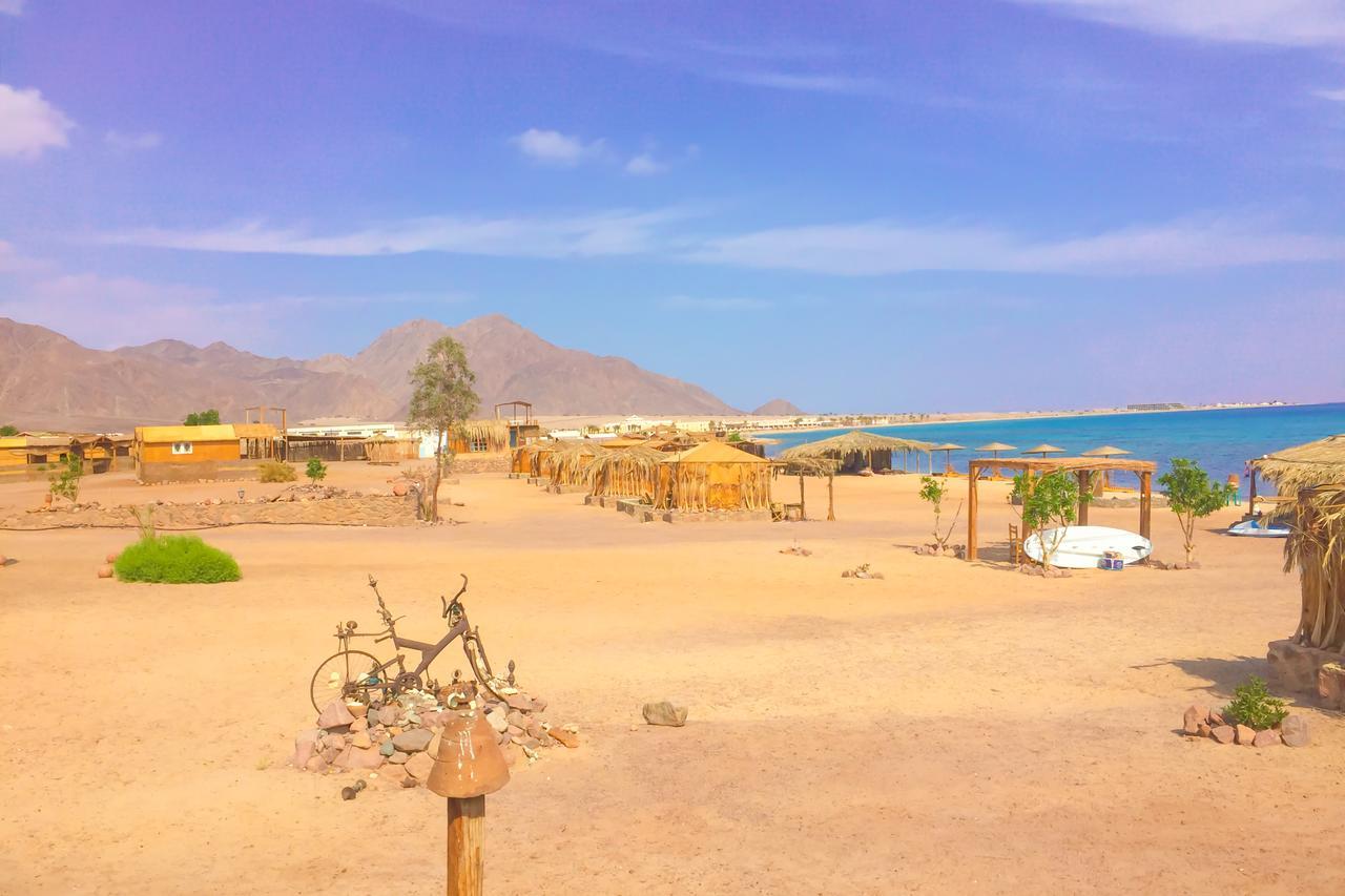 Al Magarra Camp - Adults Only