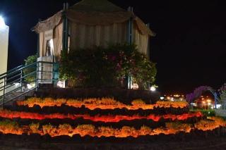 Sharm Resort Hotel 3*