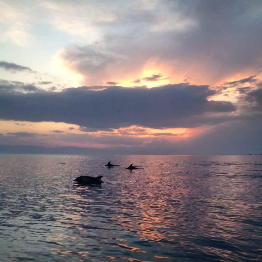 Resort Sudr 4*