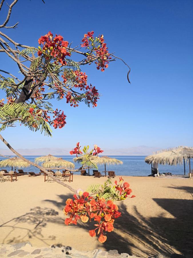 Nuweiba Lodge Lodge
