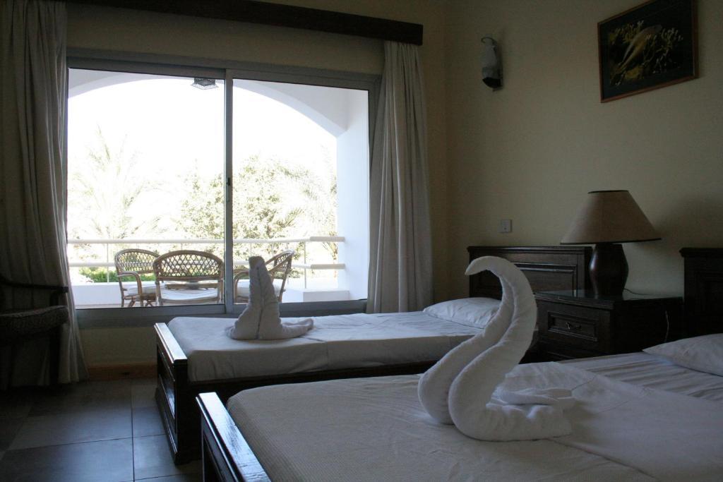 Resort Oonas Dive Club Şarm El-Şeyh
