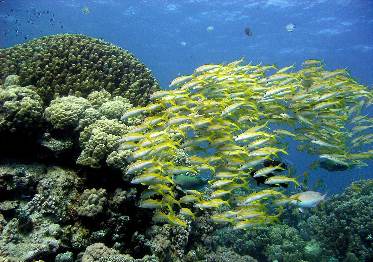 Sharm El Naga And Diving Center 3* Hurgada