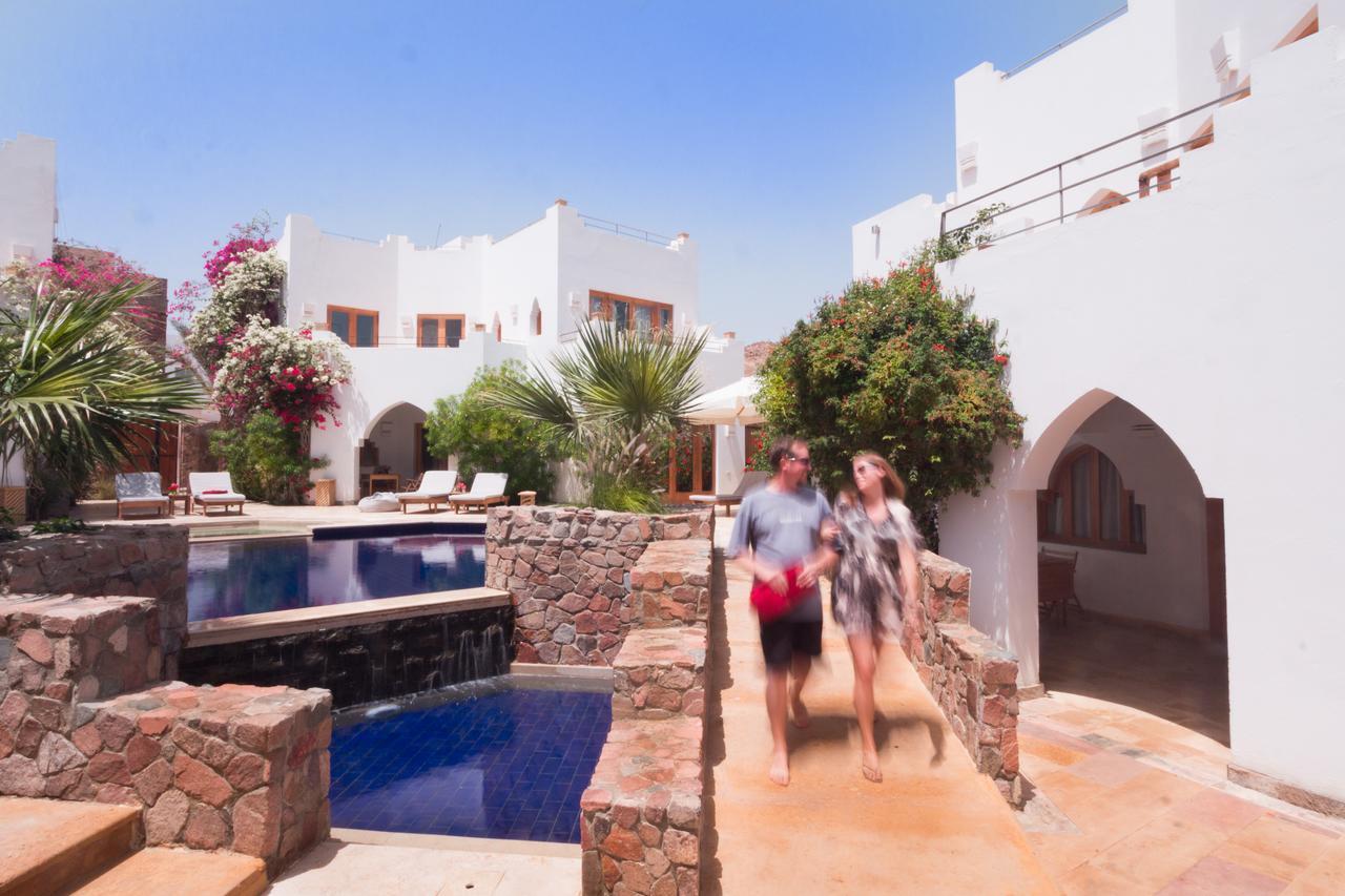 Red C Dahab
