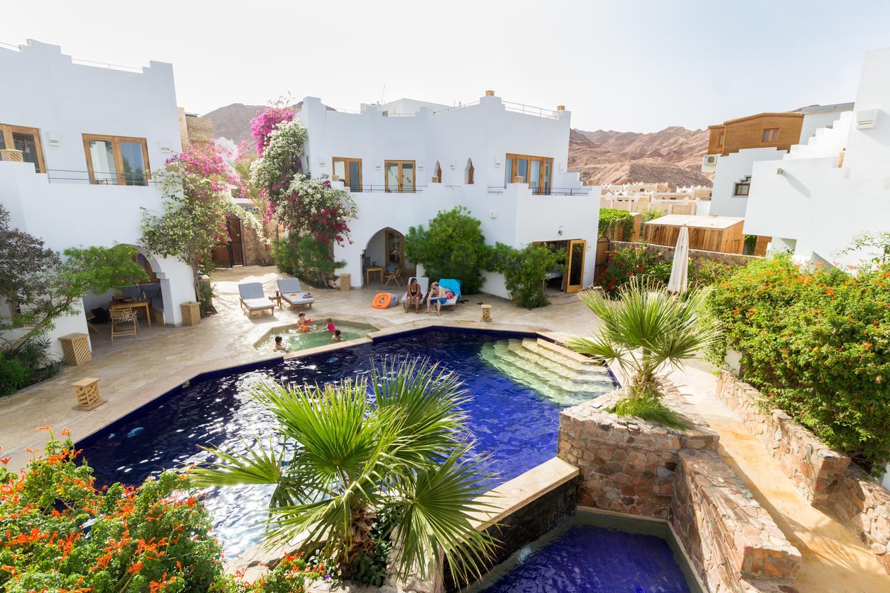 Red C * Dahab