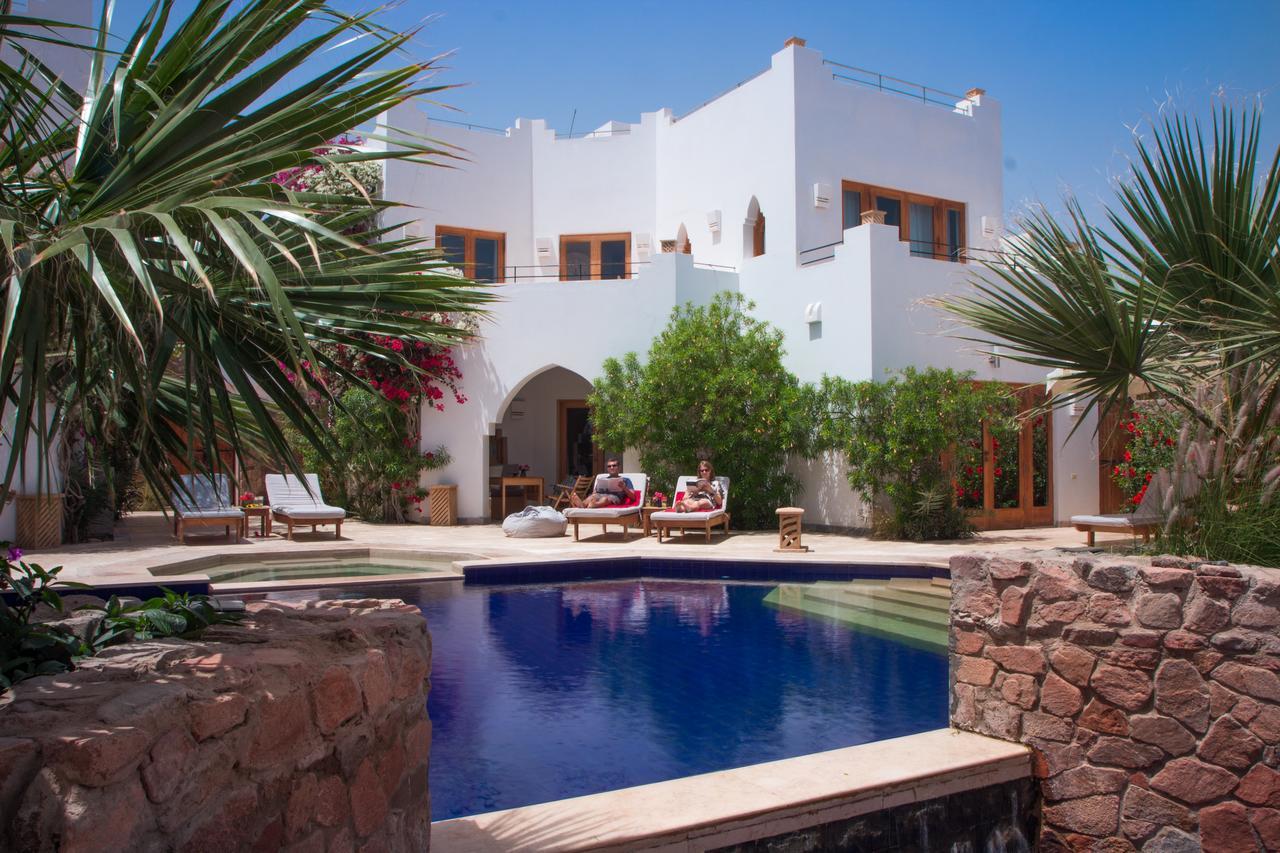 Red C Dahab