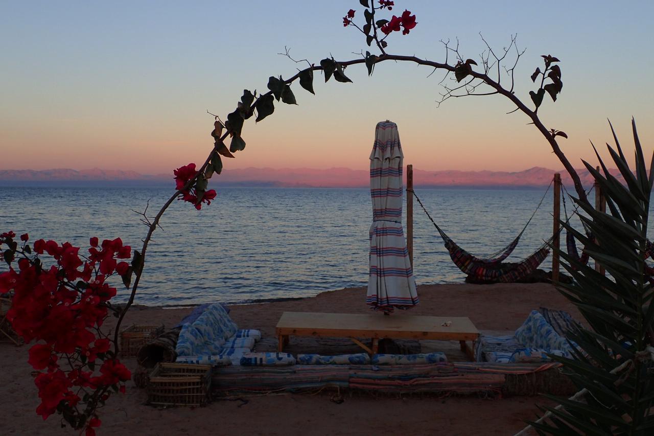 Campsite Bedouin Star