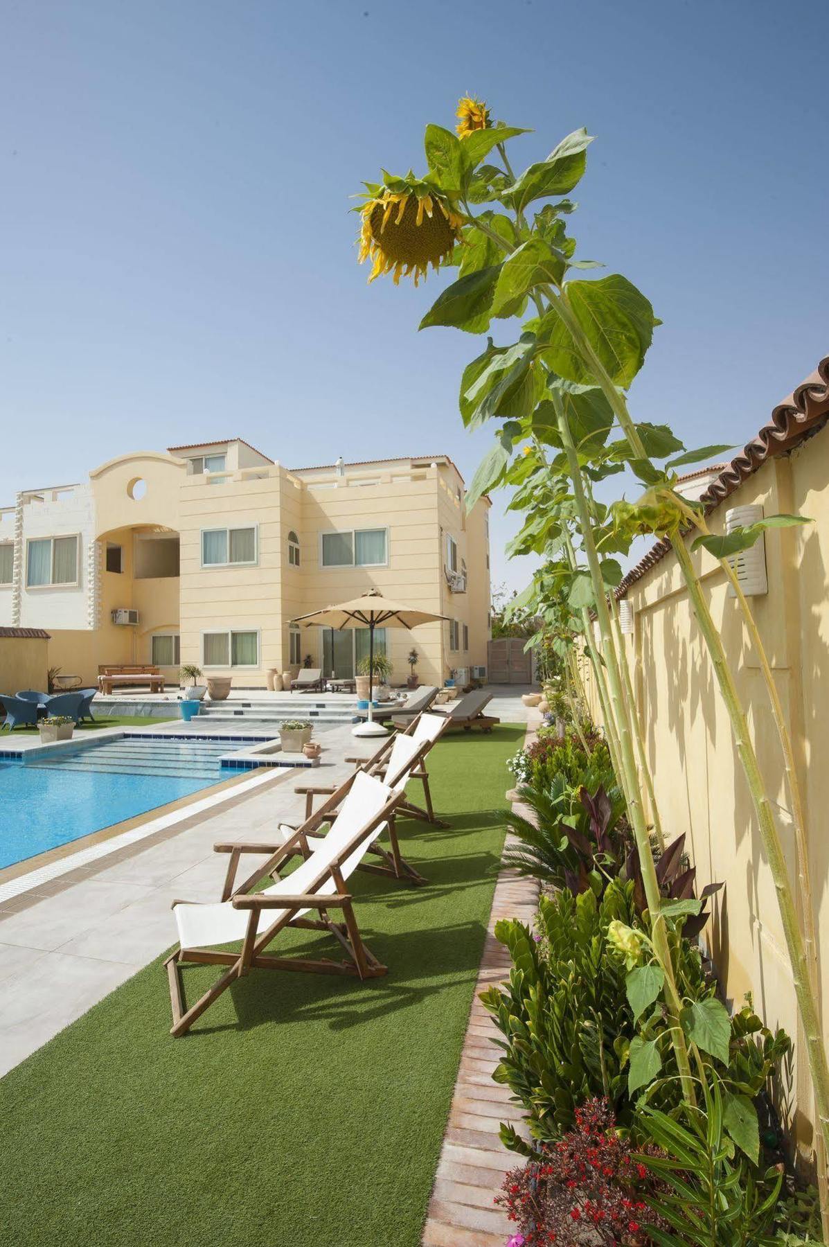 The View * Hurghada