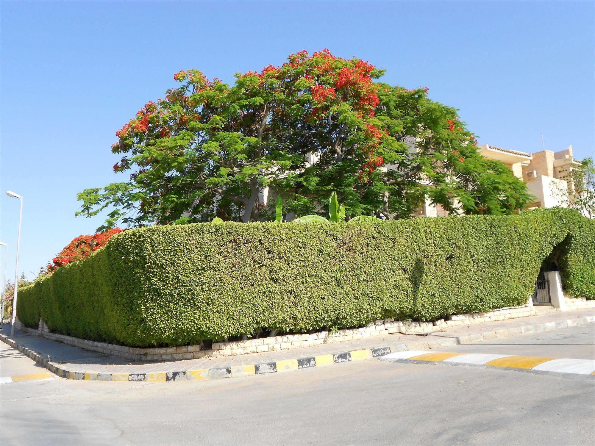 Marina Village North Coast 4*