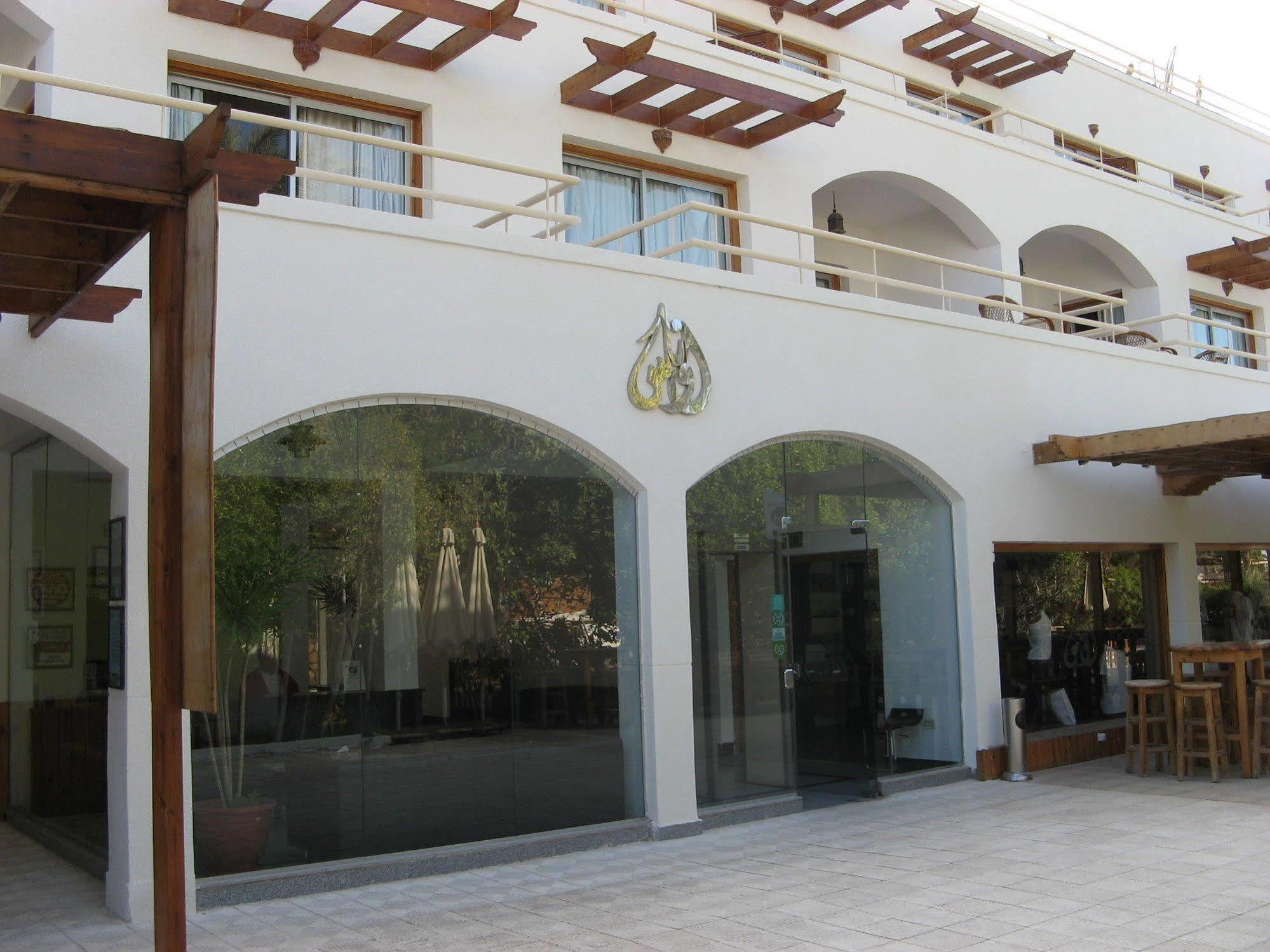 Oonas Dive Club