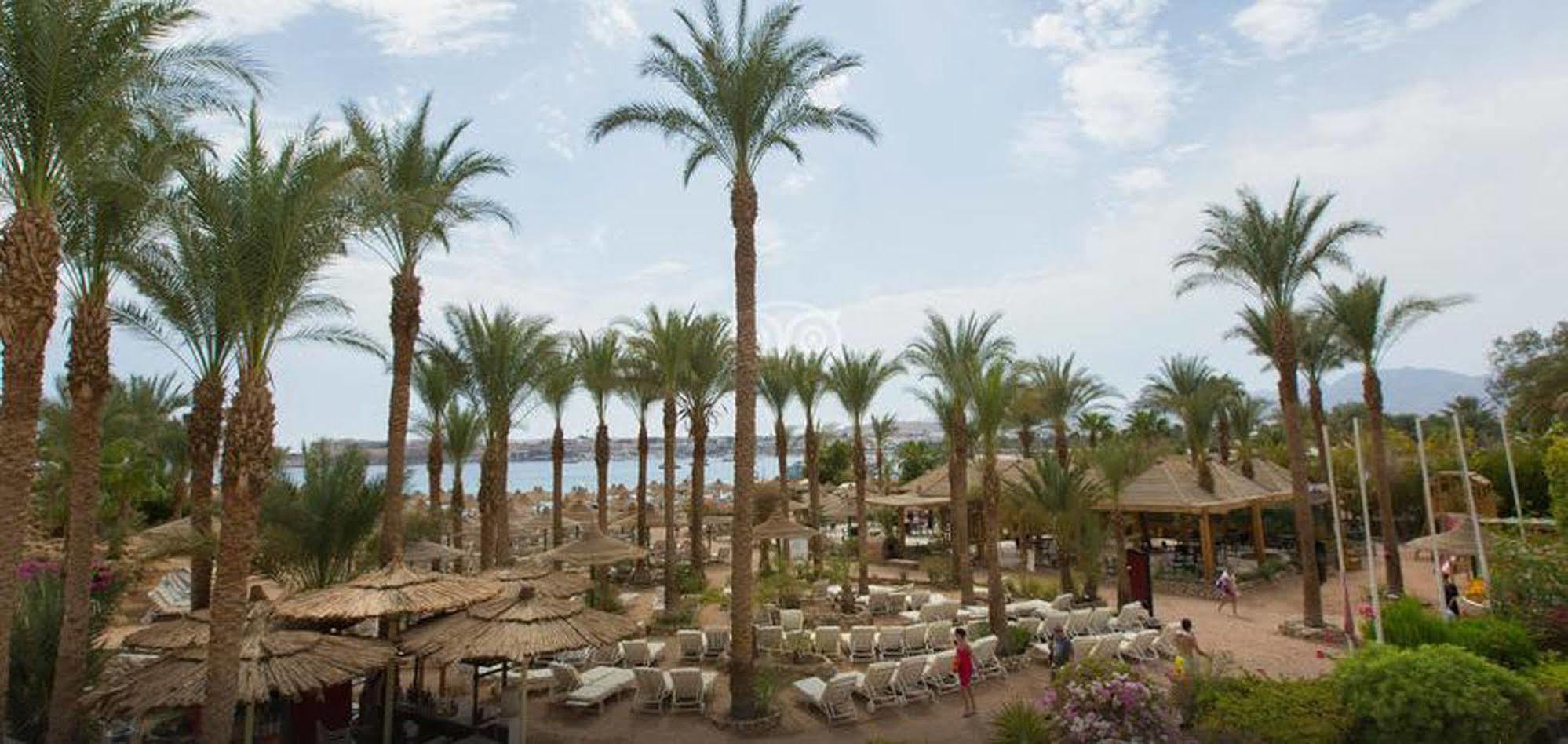 Oonas Dive Club Resort 2*