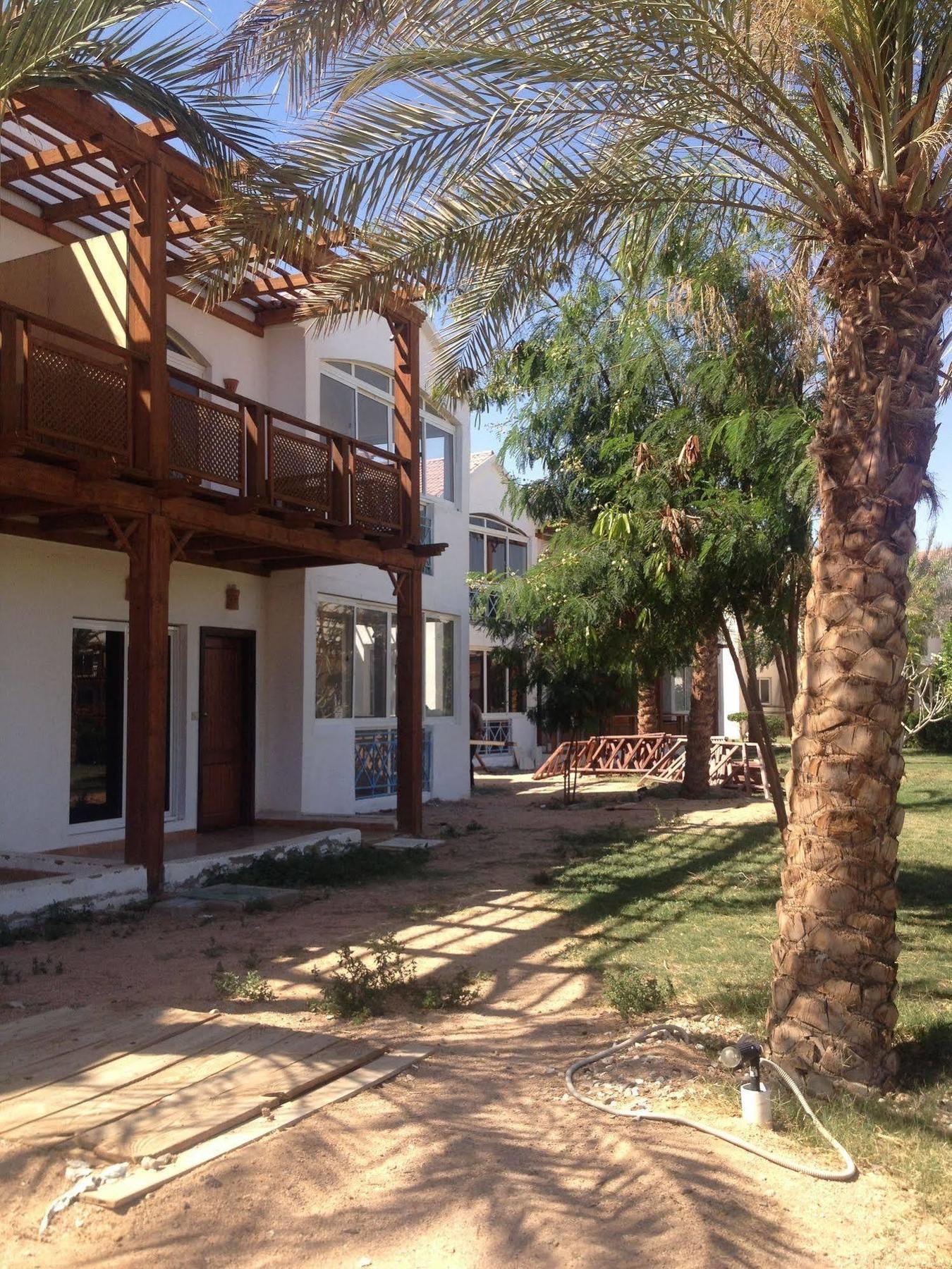 Gold Sharm