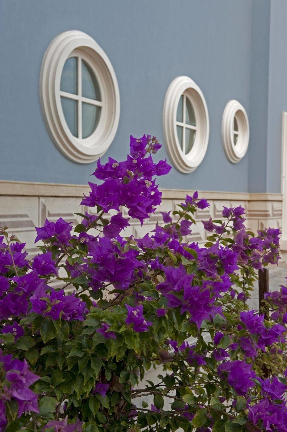 Resort La Maison Bleue El Gouna (adults Only)