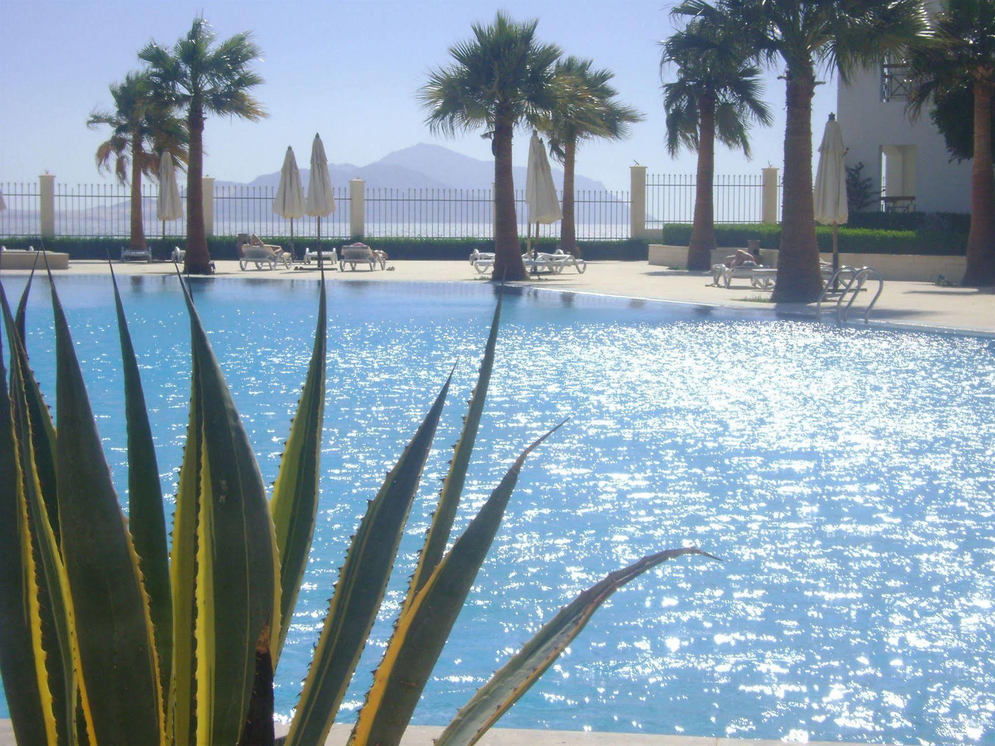 Ivy Cyrene Island Aqua Park (adults Only) Resort