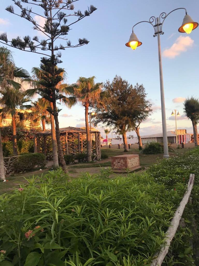Zahrat Al Mamora Alexandria