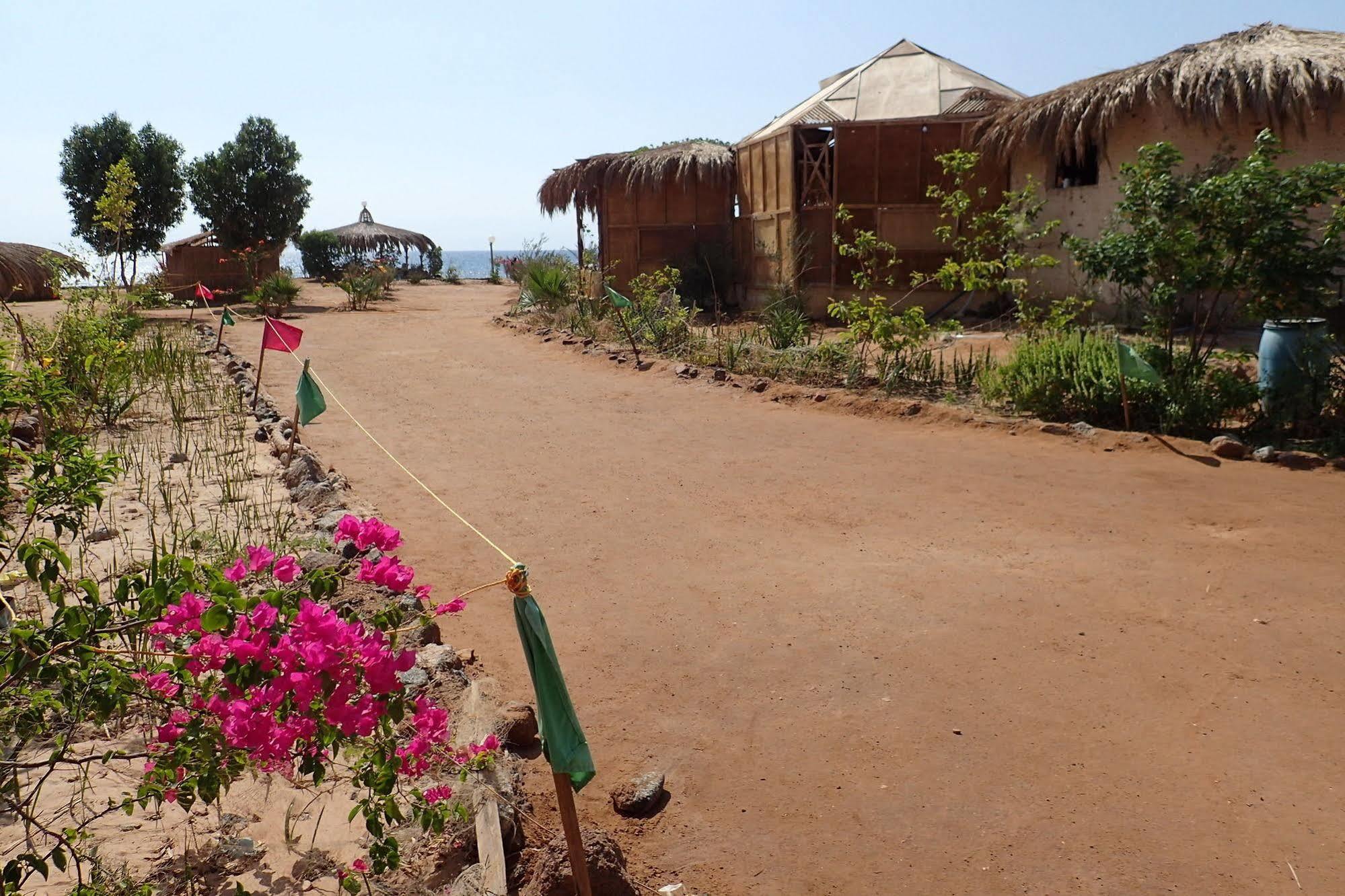 Bedouin Star Campsite