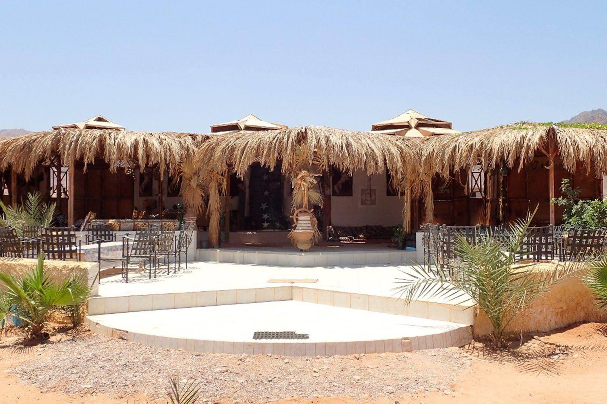 Bedouin Star Campsite
