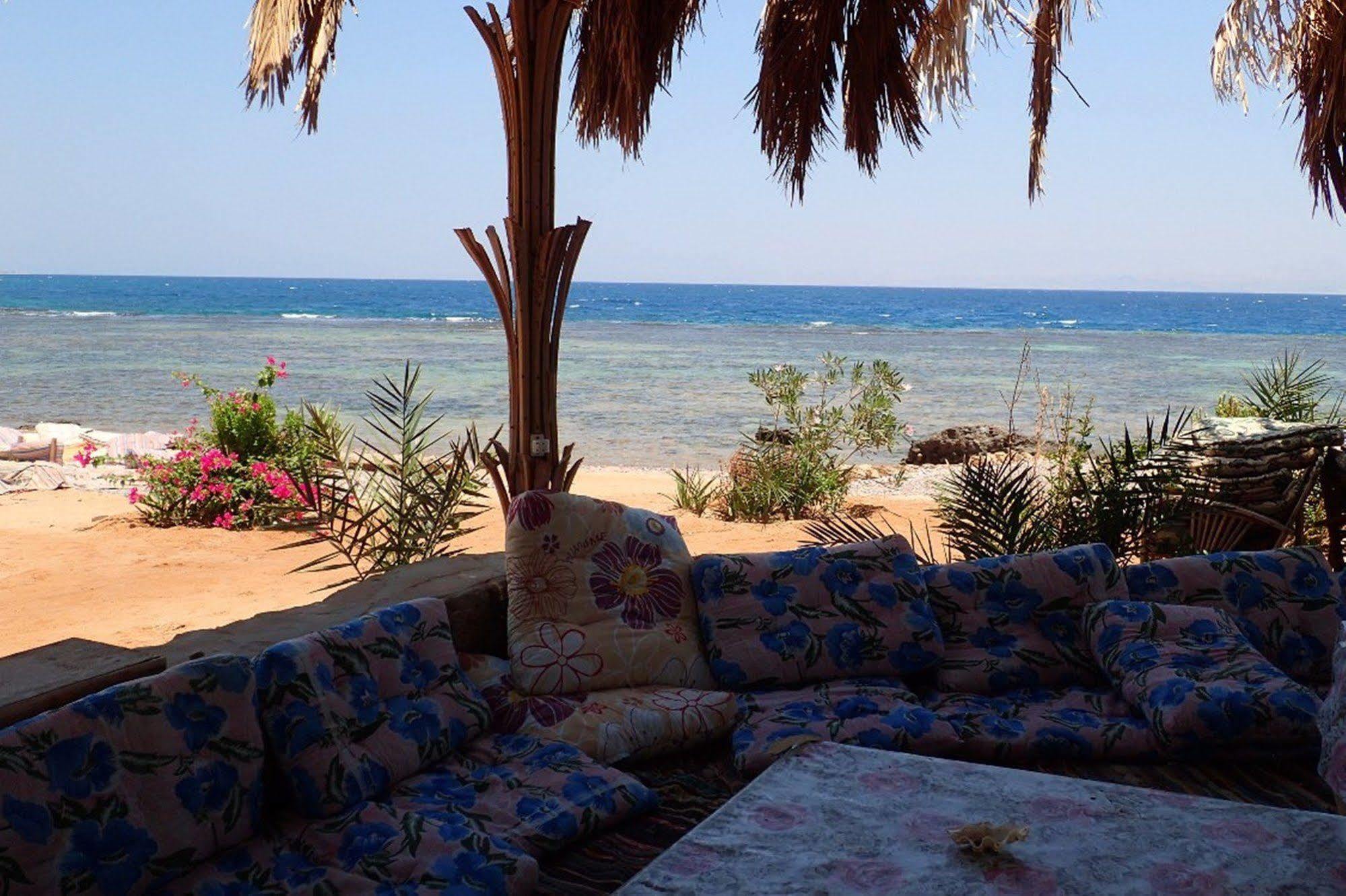 Bedouin Star Campsite 4*