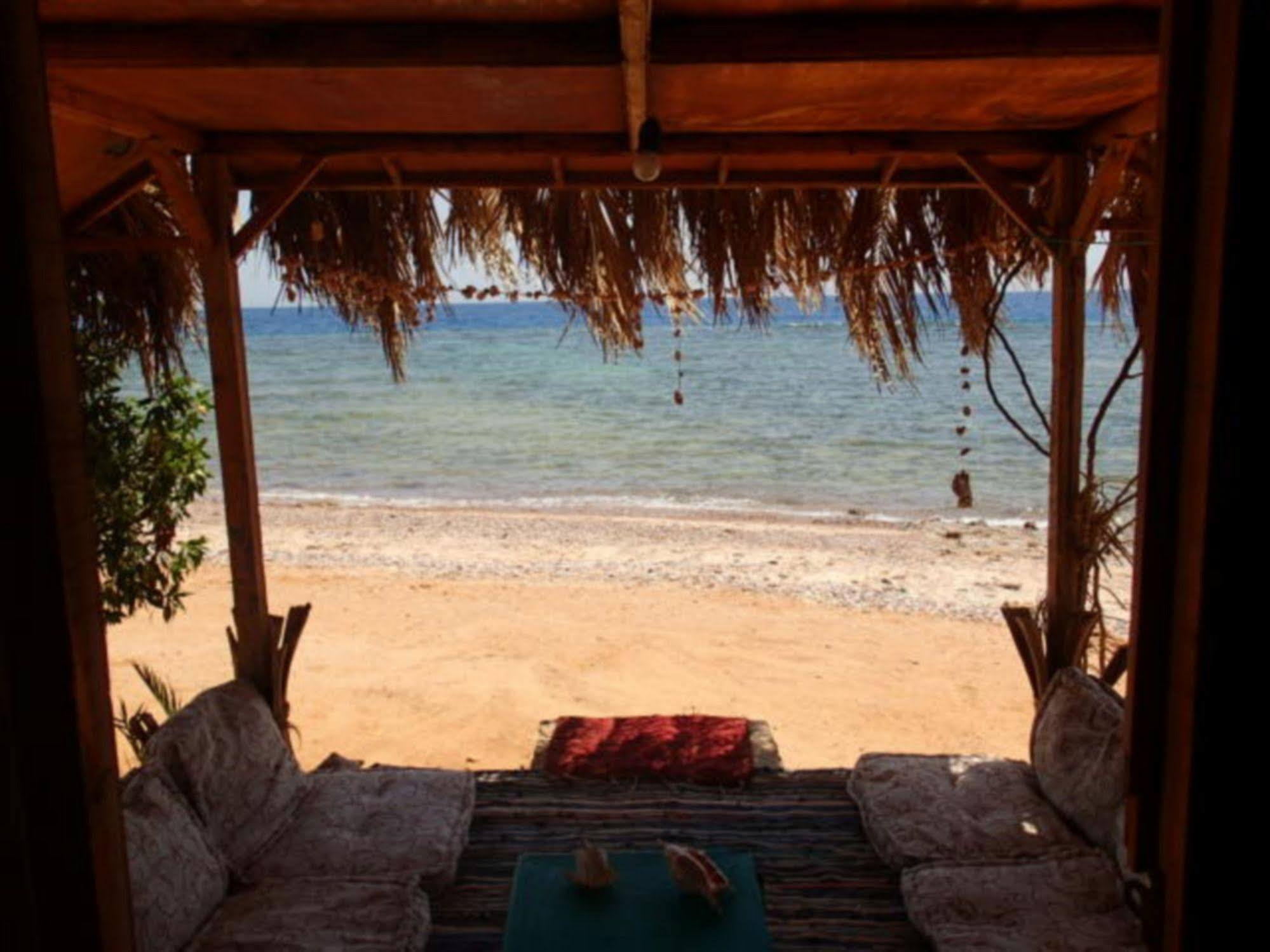 Bedouin Star 4* Taba