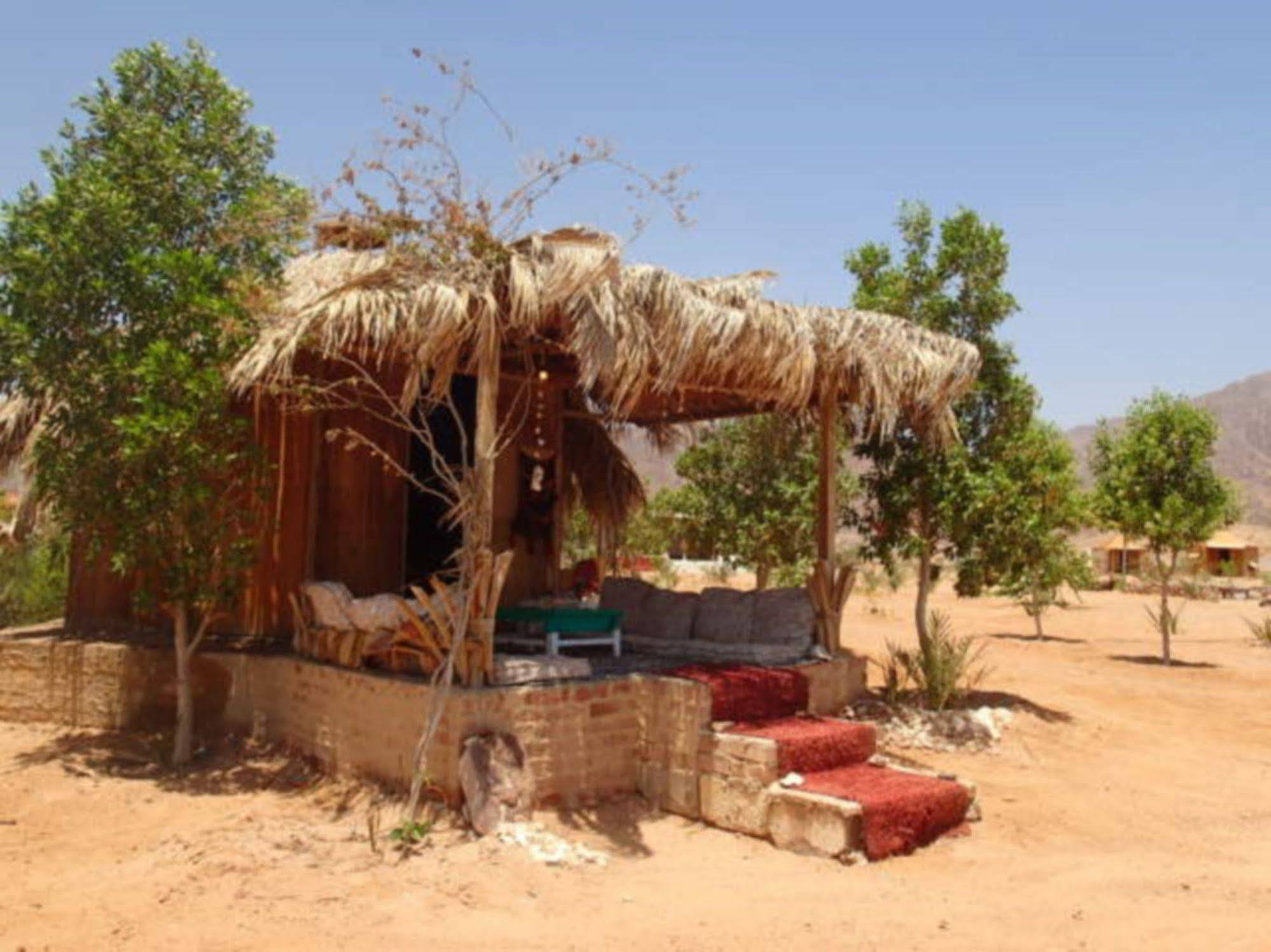 Bedouin Star Campsite 4*