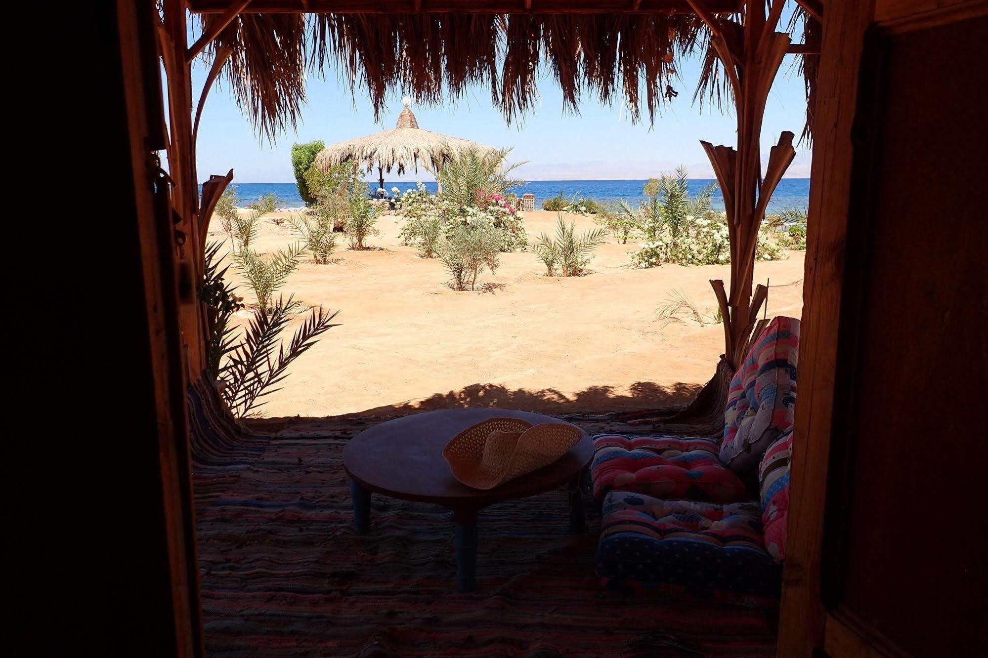 Campsite Bedouin Star