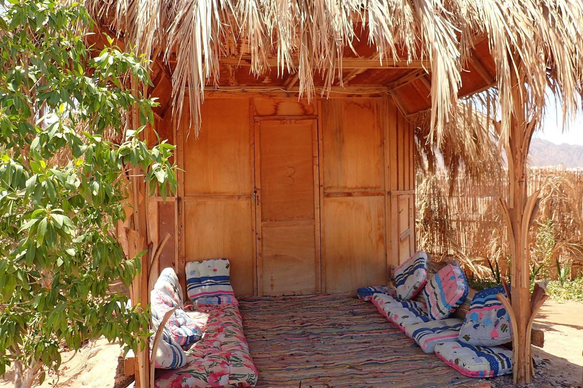 Bedouin Star Campsite Taba